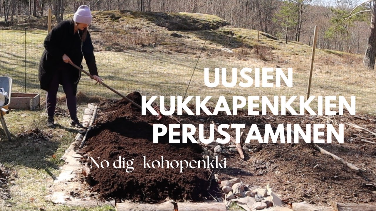 Uuden kukkapenkin perustaminen no dig -metodilla