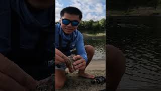 Using The United States Most Invasive Fish As Bait For Monsters