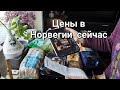 Закупка продуктов на 100 долларов в Норвегии. Цены в 2023 году.