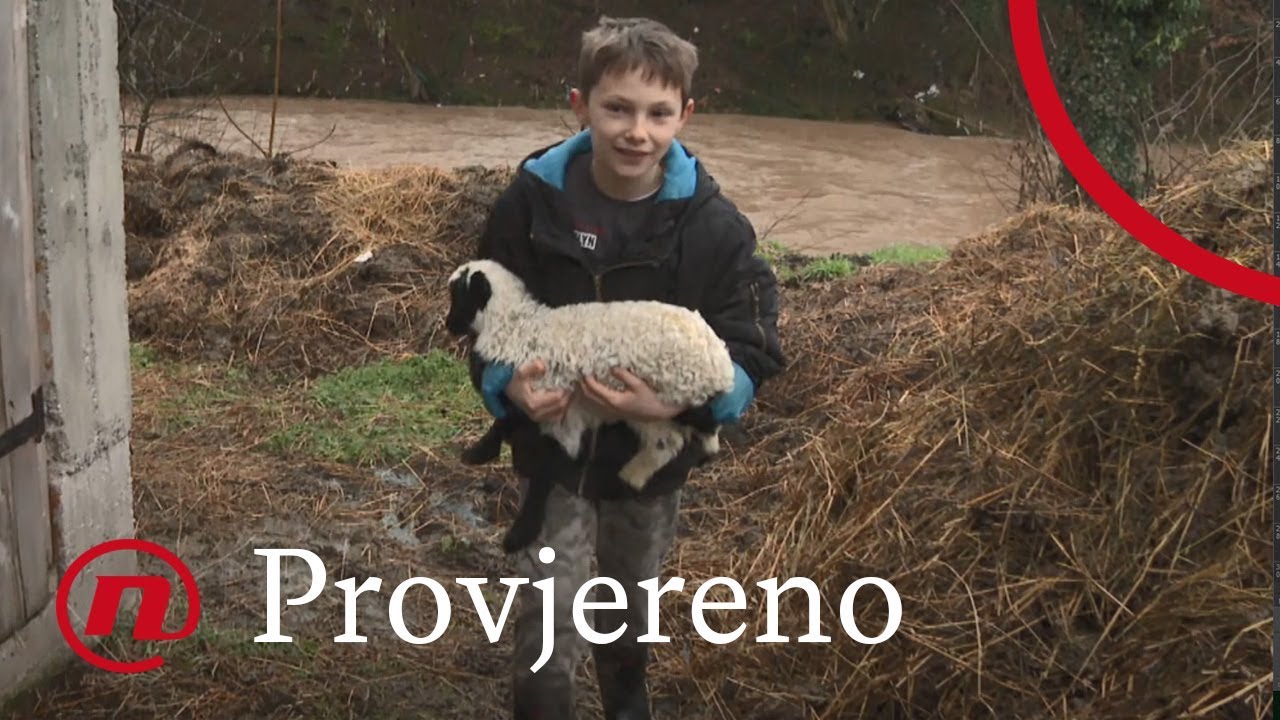 Provjereno - Mali Amer dobio 20 ovaca