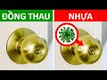 96 Sự Thật Ngẫu Nhiên Tôi Mới Nghe Lần Đầu