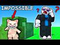 Finding EVERY Gatito in Roblox find the gatitos...