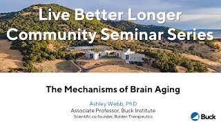 Nov 6, 2024: The Mechanisms of Brain Aging