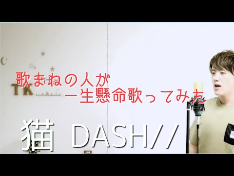 【歌ってみた】ＤＩＳＨ／／　猫　cover　by　こばたつ