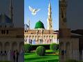 Arabic nasheed harte touching clip #foryou