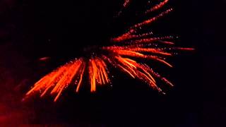 3 TigerFire Shell (Tigertail + Firefly)