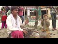 Ajay Hooda Or Anjali Bi fail Kya  Dance Karti Hai Ye Bandariya | Comedy Video From My Phone