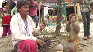 Ajay Hooda Or Anjali Bi fail Kya  Dance Karti Hai Ye Bandariya | Comedy Video From My Phone