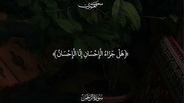 تلاوة من سورة الرحمن الشيخ محمد العمري