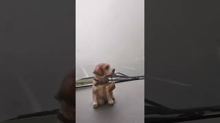 Download Lagu 🕊ja ja jajaaaaa MP3