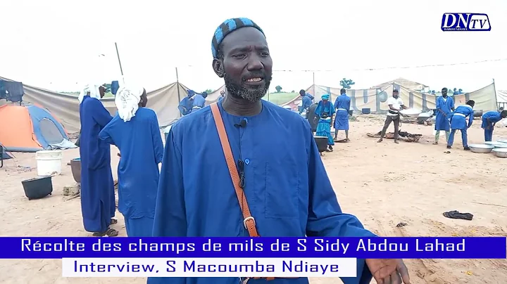 Interview, Serigne Macoumba Ndiaye