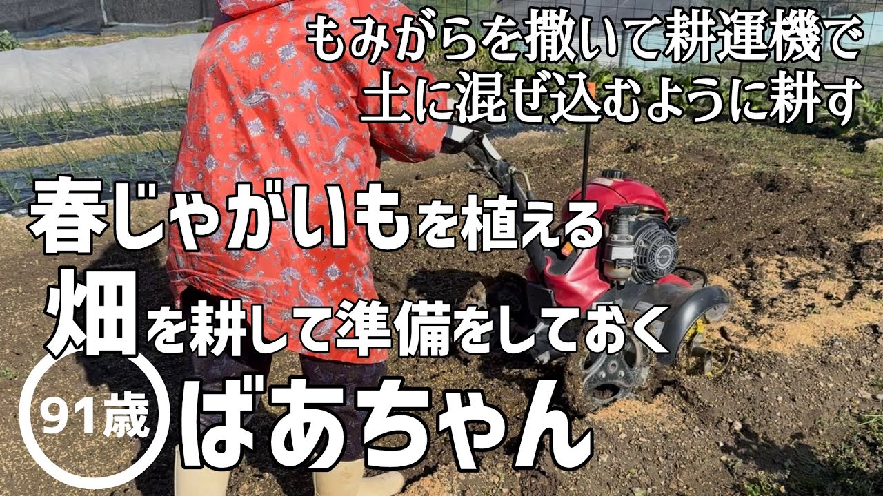 【畑仕事】春じゃがいもを植える畑を耕して順番しておく91歳のばあちゃん【田舎暮らし】