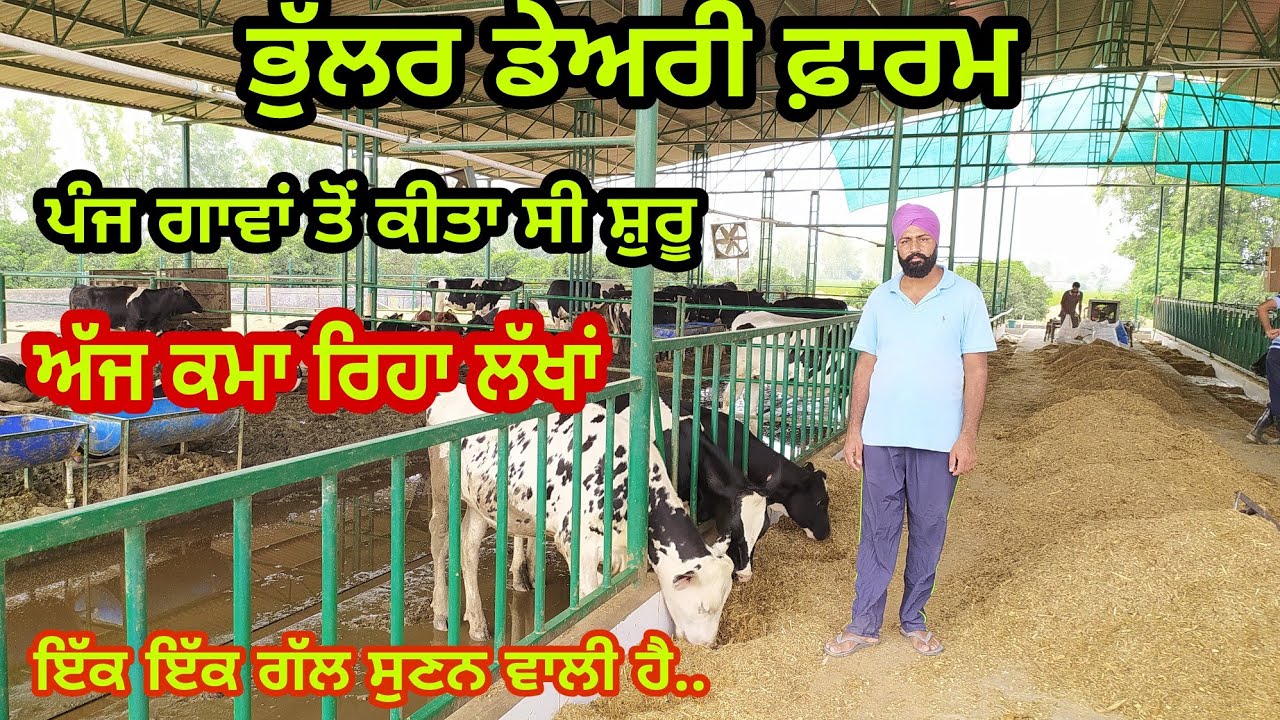 ਪੰਜ ਗਾਵਾਂ ਤੋਂ ਕੀਤਾ ਸੀ ਸ਼ੁਰੂ ਕੰਮ ਅੱਜ ਕਮਾ ਰਿਹਾ ਲੱਖਾਂ | ਭੁੱਲਰ ਡੇਅਰੀ ਫਾਰਮ | Bhullar Dairy Farm Of Cows |