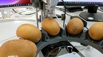 Kiwi hardness testing using agrosta wonderfast automatic texture analyzer