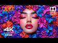 Beauty of 4K HDR 60fps Dolby Vision Demo
