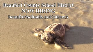 NOW HIRING EDUCATORS | Beaufort County School District
