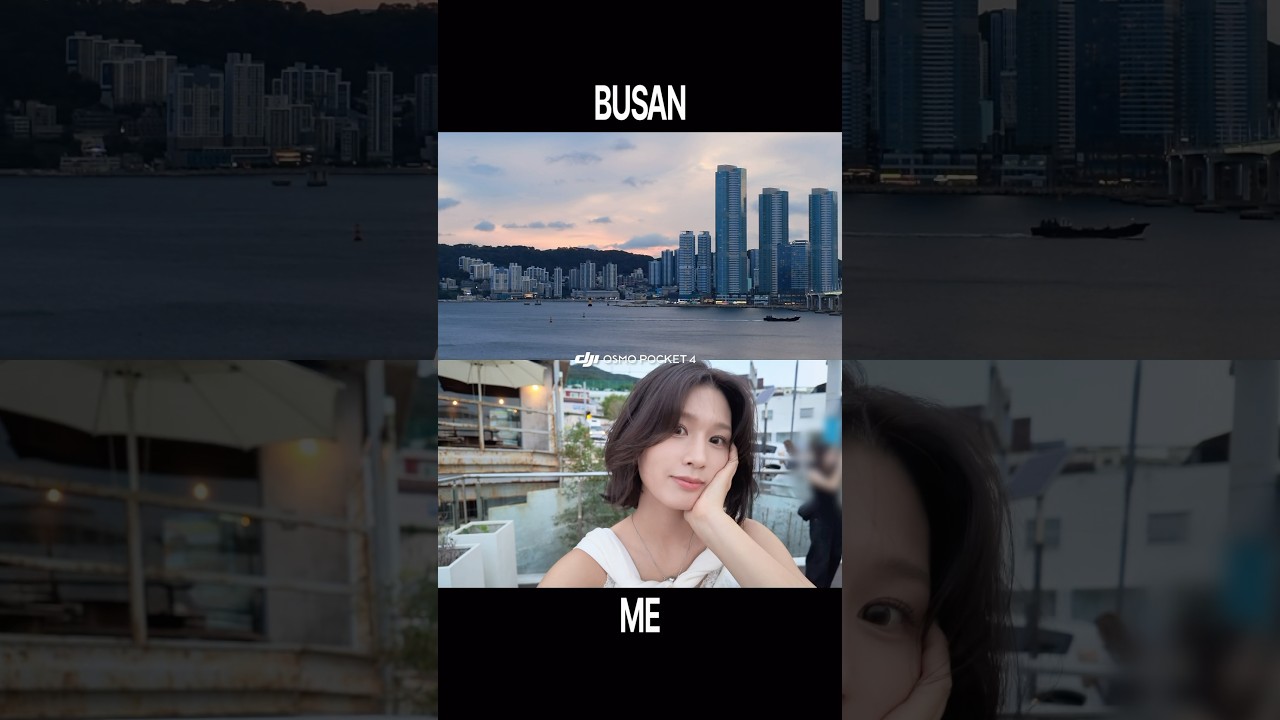 여행크리에이터에게 오즈모포켓4를 쥐어주면 #dji #osmopocket4