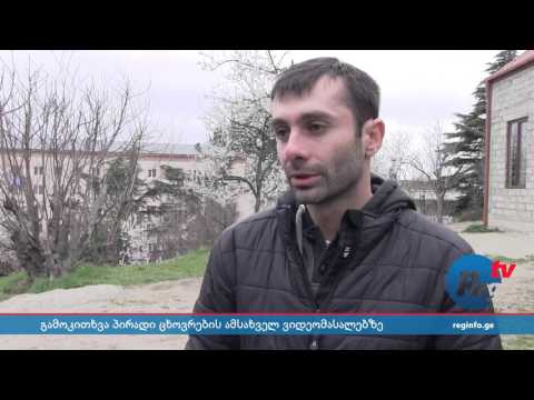 გამოკითხვა - ვინ შეიძლება ავრცელებდეს პირადი ცხოვრების ამსახველ ვიდეომასალებს?