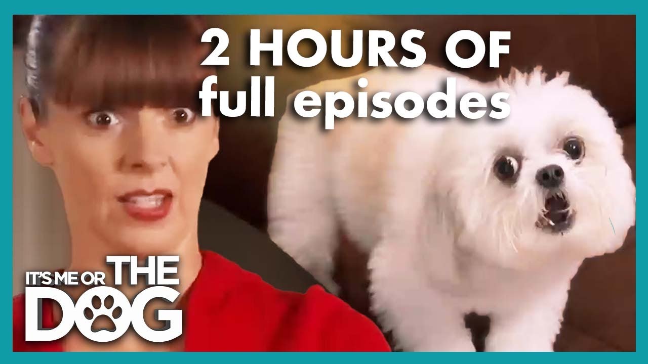 It's Me Or The Dog Uk Full Episodes