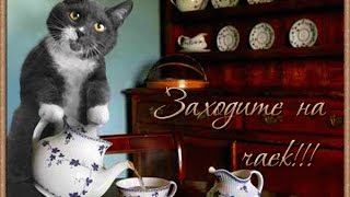 Домашние животные - лучшие виртуозы общения с детьми. Домашние животные - лучшие виртуозы общения с детьми.