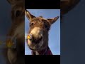 تعجب تعجب اكسبلور اهميه الحبار  النظافه  الظروف ضحك المراه 