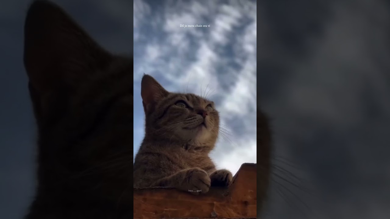 Pyar Tere Da Asar | Prabh Gill | Latest Punjabi Songs 