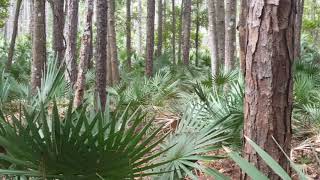 UNF Environmental Center