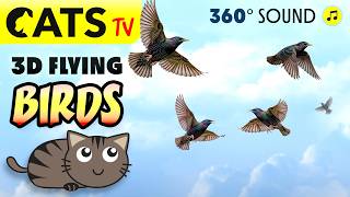 Games for Cats 😻📺 3D Birds  🐦‍⬛  Games for cats on TV 📺 🔊 3D Sound screenshot 3