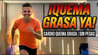 Ejercicios para BAJAR DE PESO rápido | CARDIO QUEMAGRASA en casa | Principiantes