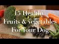 15 Fruits and Vegetables you can feed your dog