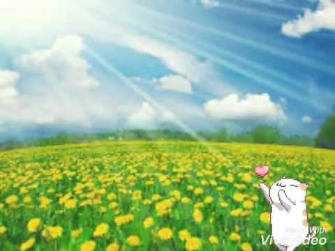 黑色柳丁（實驗性錄音）