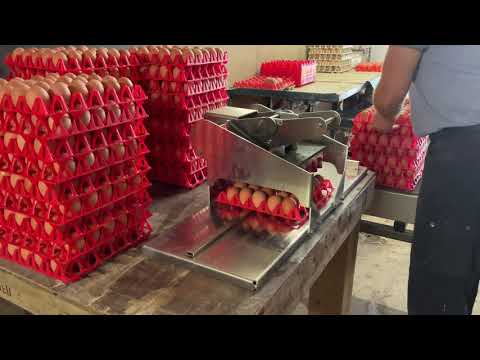 Egg coding EggFlex HeDiPack handsystem for 30-er trays