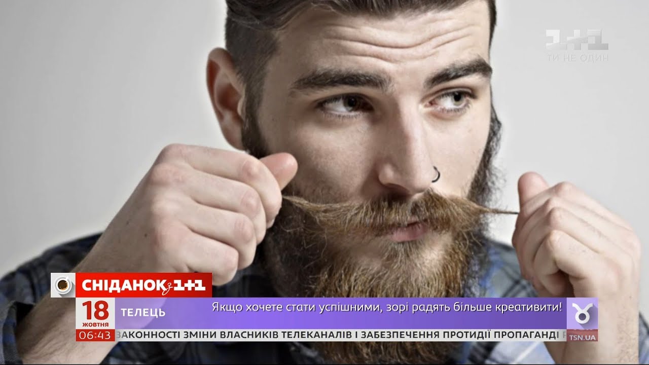 Борода про весту