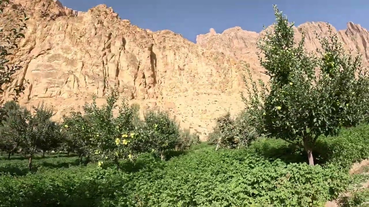 The red apples of autumn are nature’s smile upon the lips of the earth