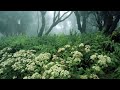 Spring Flower (Printempo Floras)
