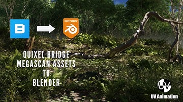 Quixel Bridge - Megascan to Blender Workflow