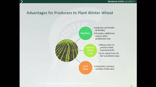 Dennis Pennington - Adding Winter Wheat to your Crop Rotation: Does it Pay?