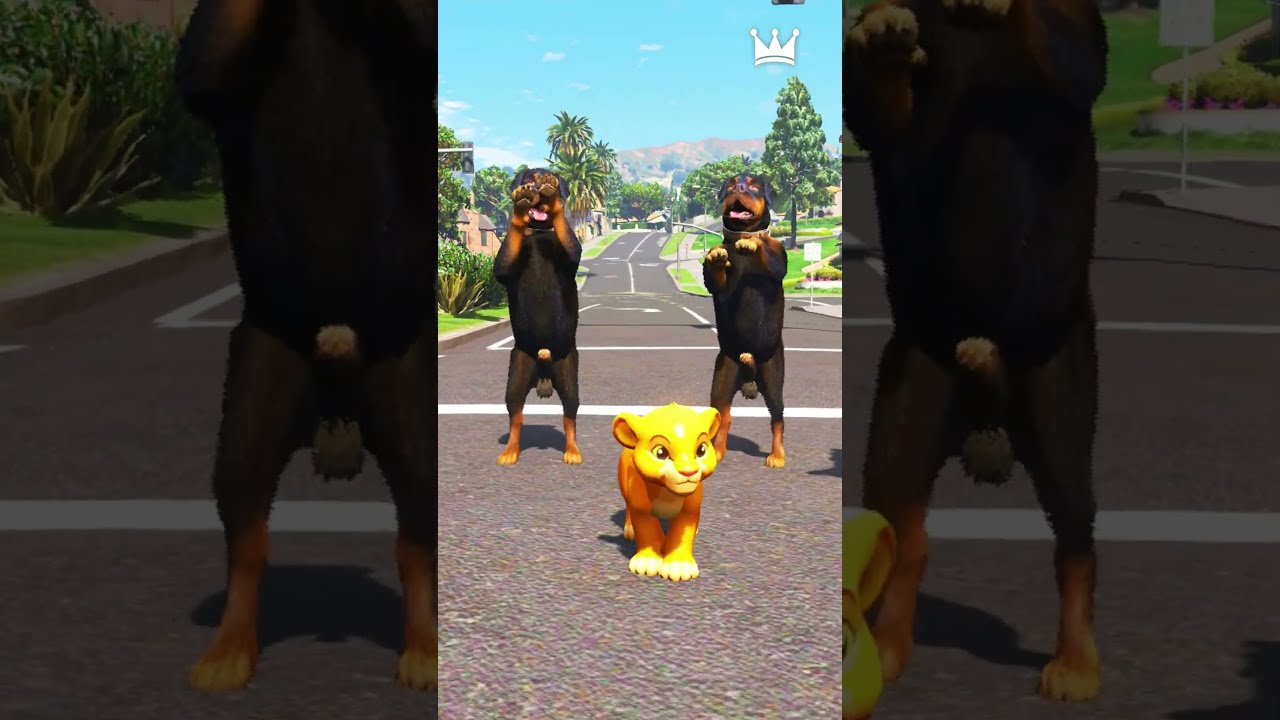 GTA V LIONESS SAVING LION BABY Shorts