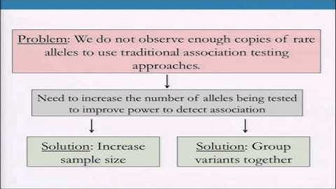 BroadE: Statistical Genetics - Rare variants
