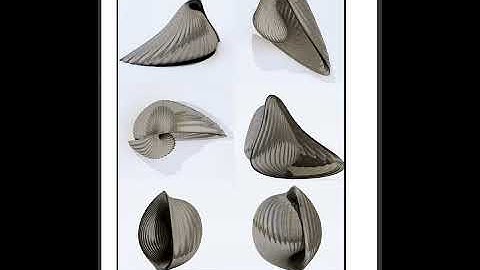 Impact of parametric design on young Architects  - Ali Khiabanian