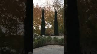 IMG 8167