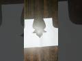 easy blouse back neck design cutting #fashion #styly #diy #fashiontrends #shortvideo