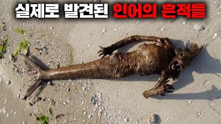 전세계 곳곳에 남아있는 인어의 실제 기록들 [미스터리]