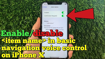 How to enable or disable item name in basic navigation voice control on iPhone X