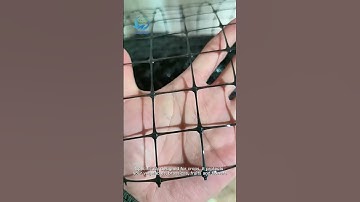 PP bird net PP Material Anti Mole Net Protection Netting #shorts #net #plastic #agriculture