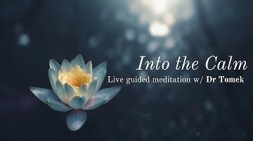 Into the Calm LIVE SESSION