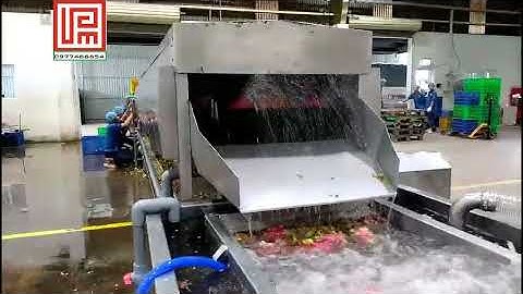 Máy rửa trái cây, Máy rửa con lăn bàn chải