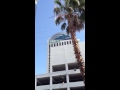 Playboy sign comes down off of palms fantasy tower