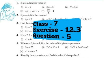 Class - 7, Q 5 - Ex 12.3 - Algebraic Expressions - Chapter 12 - NCERT Maths