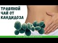 Травяной чай от кандидоза (молочницы) - Домашний лекарь - выпуск №317